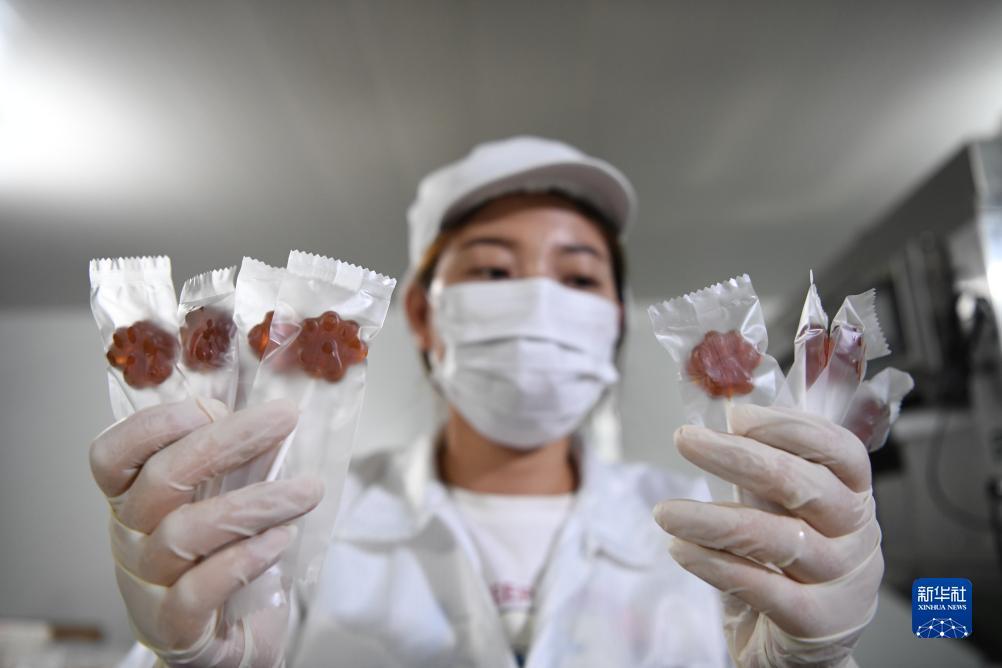 龙虎和怎么追和